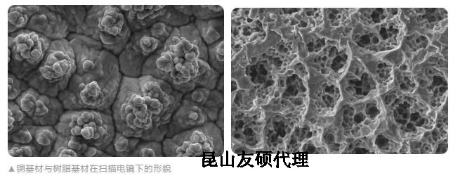 绍兴蔡司绍兴扫描电镜